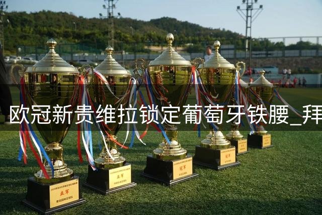 欧冠新贵维拉锁定葡萄牙铁腰 拜仁中场帕利尼亚或成今夏首签